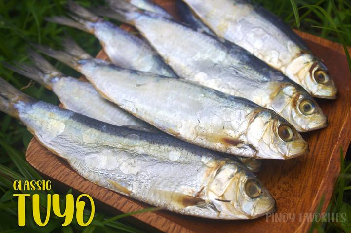 Classic Tuyo
